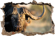 Kaffernbüffel mit Hörnern  3D Wandtattoo Wanddurchbruch
