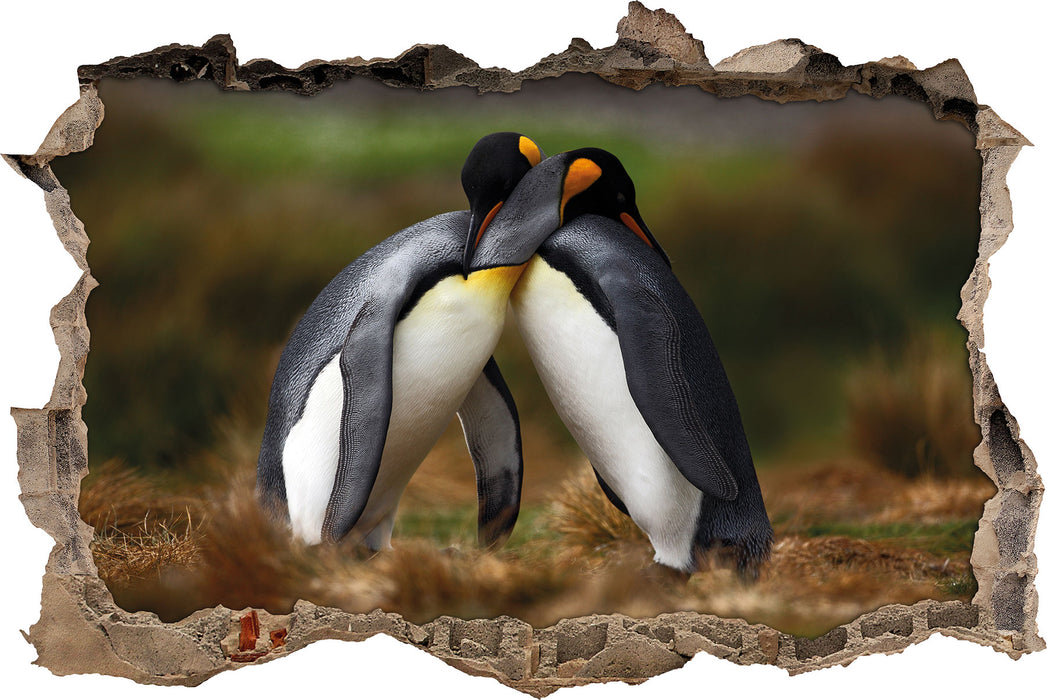 Pinguine in der Antarktis  3D Wandtattoo Wanddurchbruch