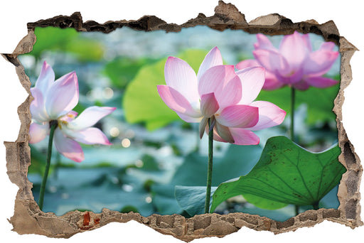 rosa Lotusblüte im Teich  3D Wandtattoo Wanddurchbruch