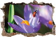 Krokussblüte mit Marienkäfer  3D Wandtattoo Wanddurchbruch
