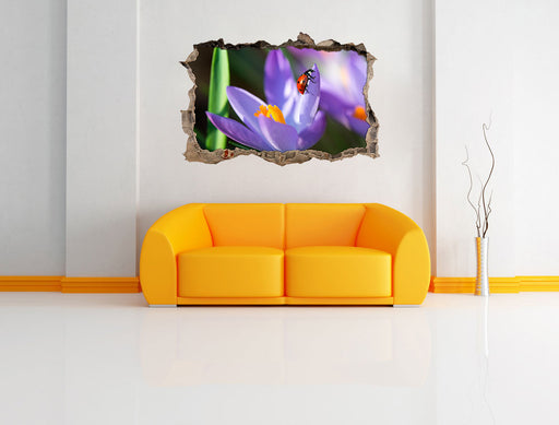 Krokussblüte mit Marienkäfer 3D Wandtattoo Wanddurchbruch Wand