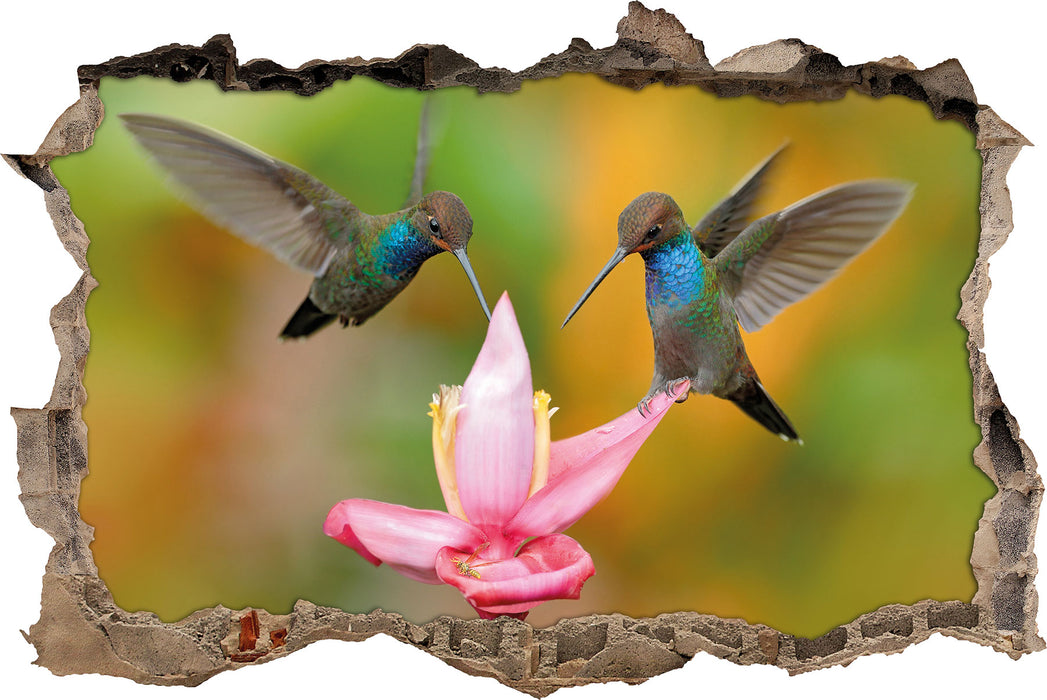Pixxprint Zwei Kolibris in den Tropen, 3D Wandtattoo