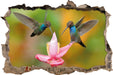 Zwei Kolibris in den Tropen  3D Wandtattoo Wanddurchbruch