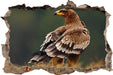 Falke mit Gefieder  3D Wandtattoo Wanddurchbruch