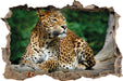 Wunderschöner Leopard in der Natur  3D Wandtattoo Wanddurchbruch