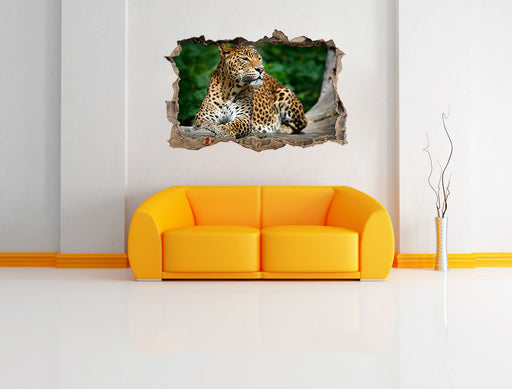 Wunderschöner Leopard in der Natur 3D Wandtattoo Wanddurchbruch Wand