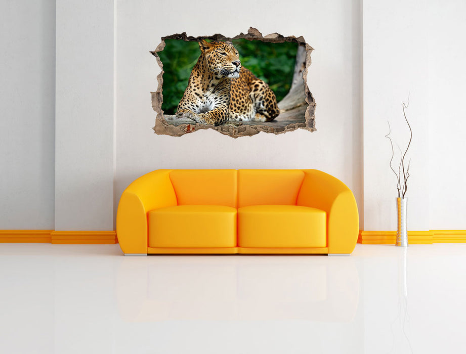 Wunderschöner Leopard in der Natur 3D Wandtattoo Wanddurchbruch Wand