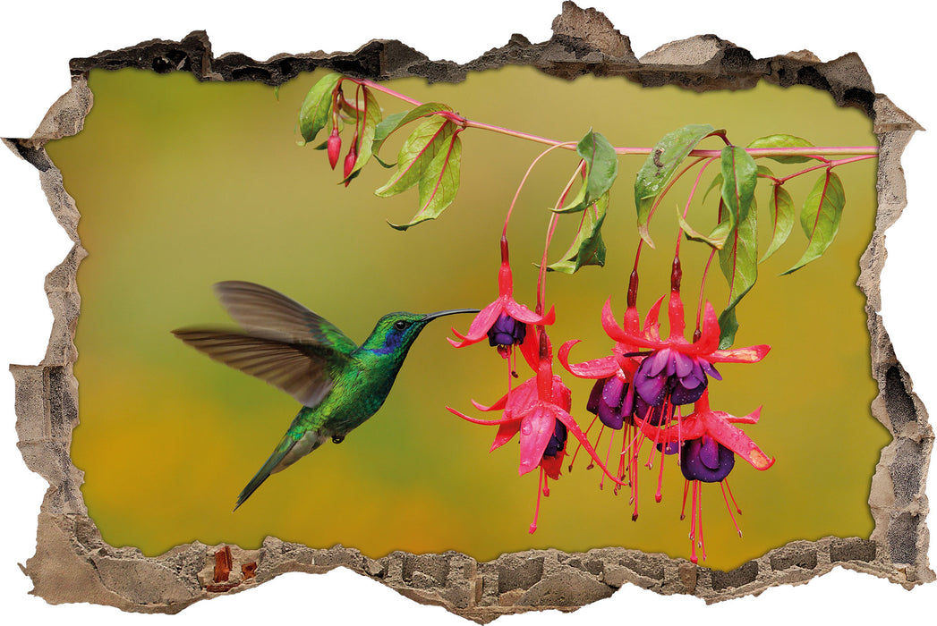 Pixxprint Kolibri trinkt vom Blütennektar, 3D Wandtattoo