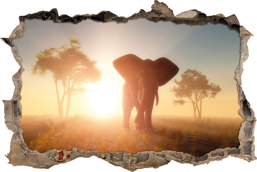 Elefant in der Wüste  3D Wandtattoo Wanddurchbruch