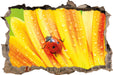 Marienkäfer auf gelber Blume  3D Wandtattoo Wanddurchbruch
