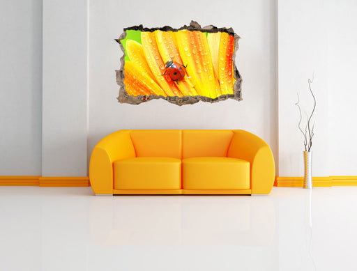 Marienkäfer auf gelber Blume 3D Wandtattoo Wanddurchbruch Wand