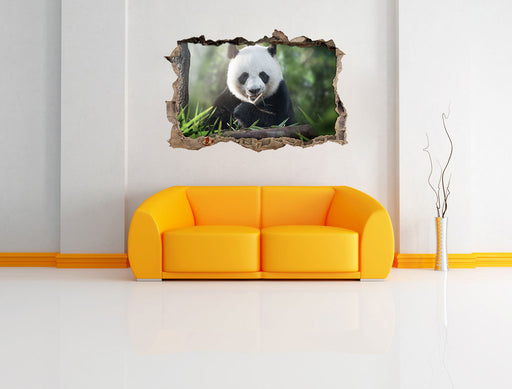 Niedlicher Panda isst Bambus 3D Wandtattoo Wanddurchbruch Wand