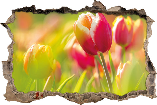 Blühende rote Tulpen  3D Wandtattoo Wanddurchbruch