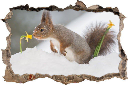 Eichhörnchen im Schnee  3D Wandtattoo Wanddurchbruch