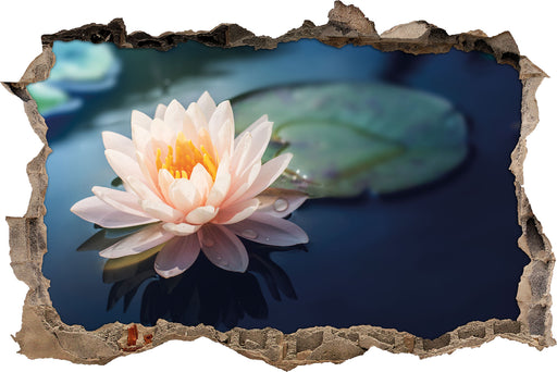 Eine rosa Lotusblume in Teich  3D Wandtattoo Wanddurchbruch