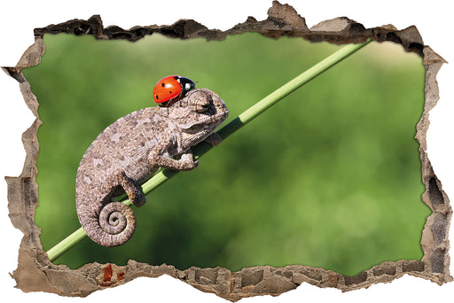 Süßer Gecko mit einem Marienkäfer  3D Wandtattoo Wanddurchbruch