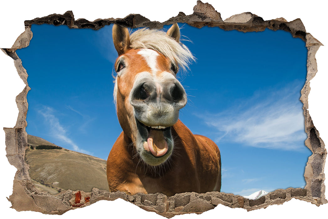 Pixxprint Lustiges Pferd in der Natur, 3D Wandtattoo