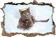 Katzen-Engel auf Wolke  3D Wandtattoo Wanddurchbruch