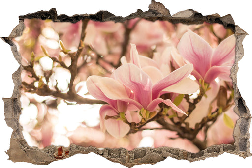 Rosa Magnolienblüten im Frühling 3D Wandtattoo Wanddurchbruch