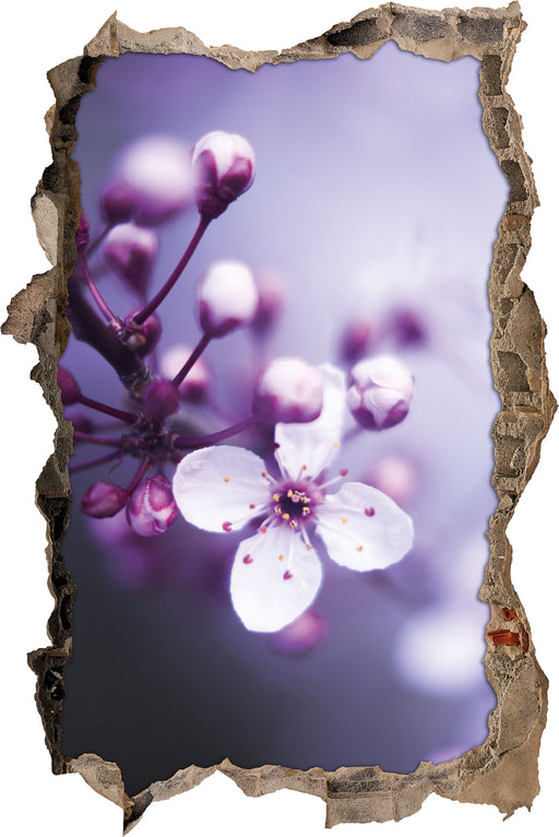 Blüten des Kirschbaumes  3D Wandtattoo Wanddurchbruch