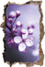 Blüten des Kirschbaumes  3D Wandtattoo Wanddurchbruch