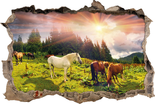 Mustangs Pferde auf den Bergen  3D Wandtattoo Wanddurchbruch