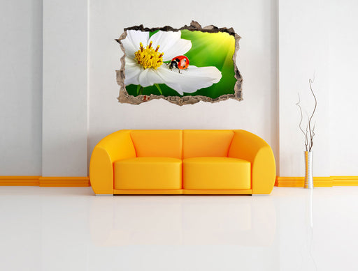 Marienkäfer auf einer weißen Blume 3D Wandtattoo Wanddurchbruch Wand