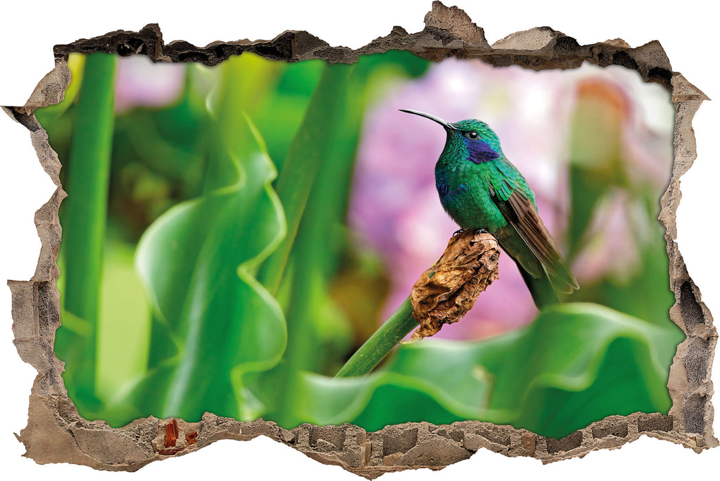 Kolibri in seinem Lebensraum  3D Wandtattoo Wanddurchbruch