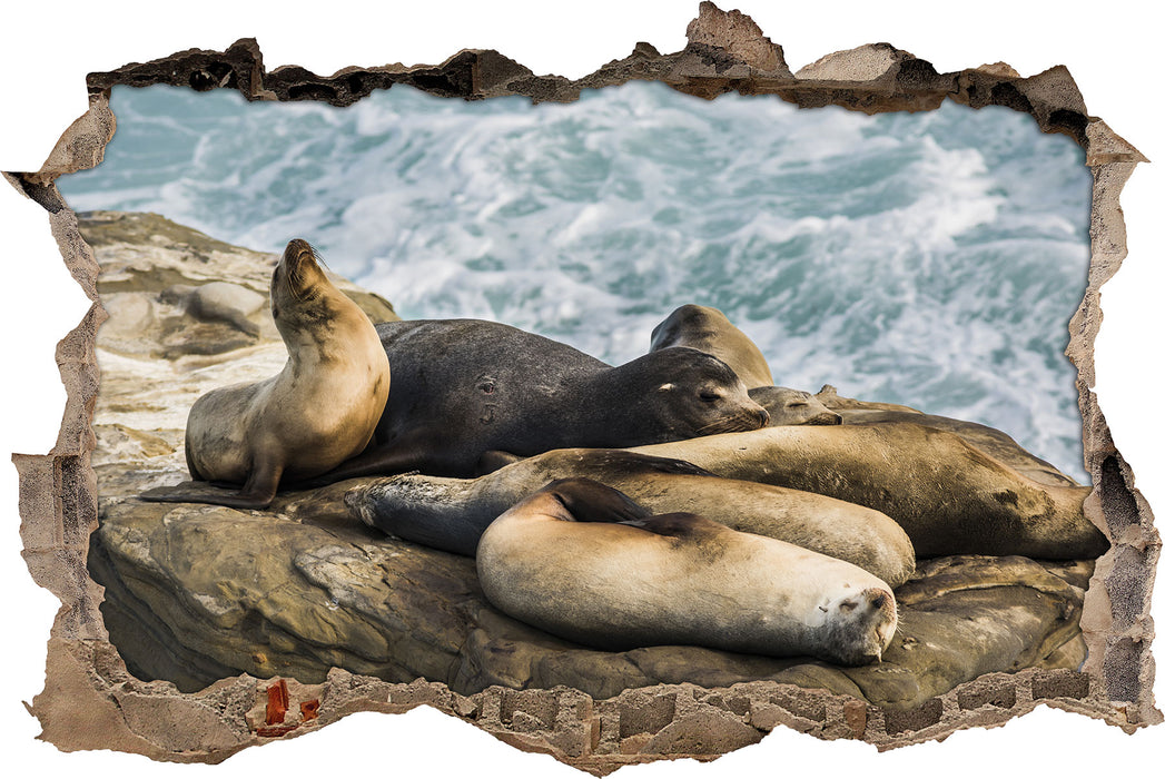 Pixxprint Seelöwen an einer Bucht, 3D Wandtattoo