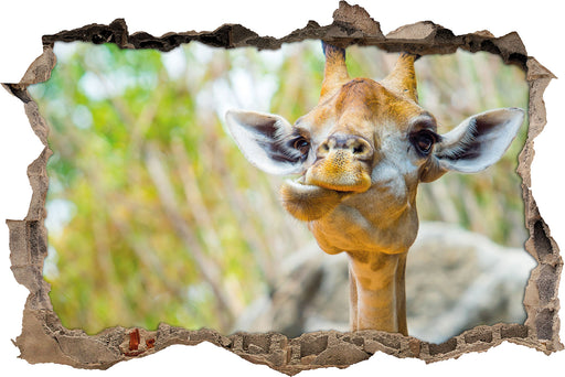 Giraffe in der Natur  3D Wandtattoo Wanddurchbruch