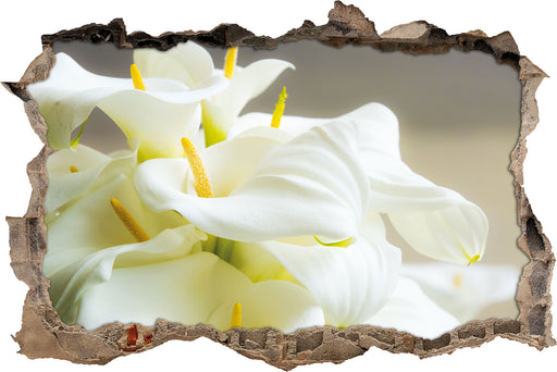 Wunderschöne weiße Calla Lilien 3D Wandtattoo Wanddurchbruch