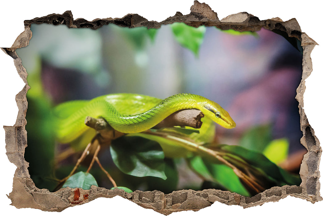 Pixxprint Raue grüne Schlange, 3D Wandtattoo