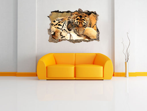 Zwei junge Tiger beim Kämpfen 3D Wandtattoo Wanddurchbruch Wand