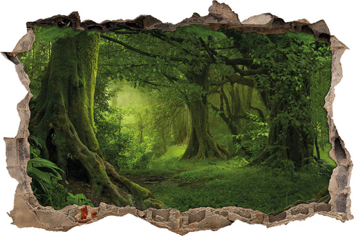 Dschungel im Regenwald  3D Wandtattoo Wanddurchbruch