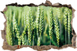 Grüne Weizen auf dem Feld  3D Wandtattoo Wanddurchbruch