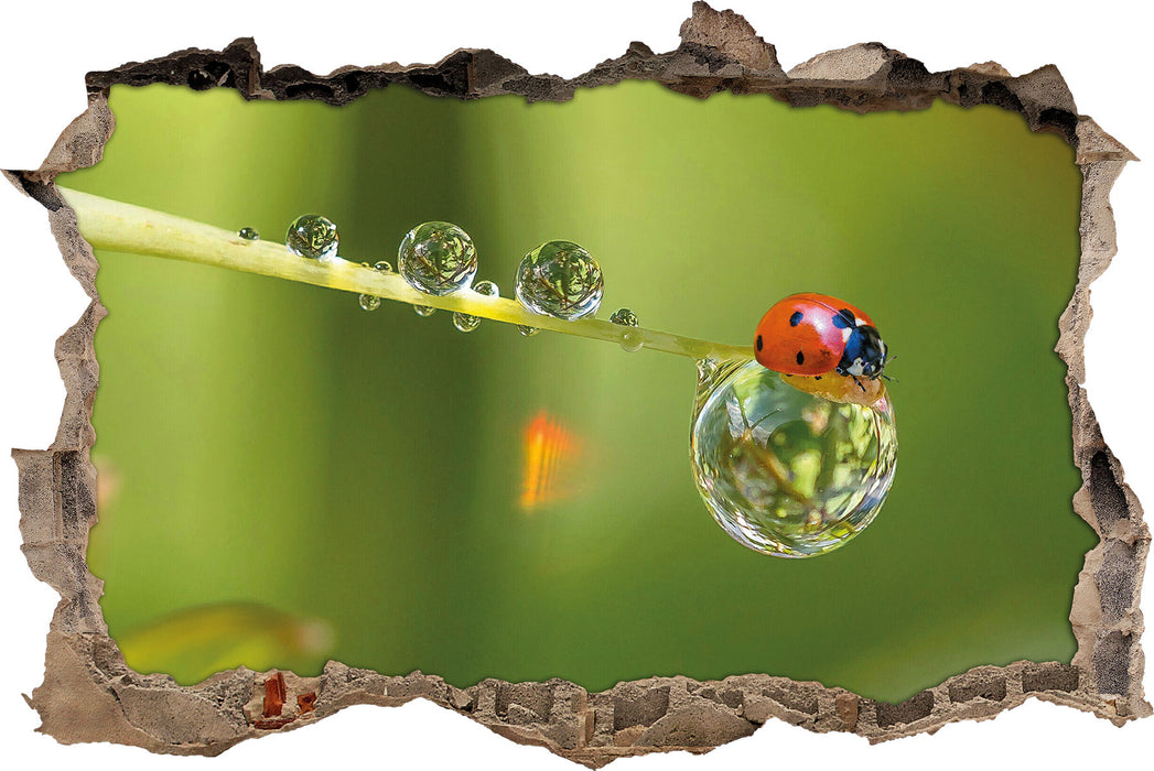 Pixxprint Marienkäfer Wassertropfen, 3D Wandtattoo