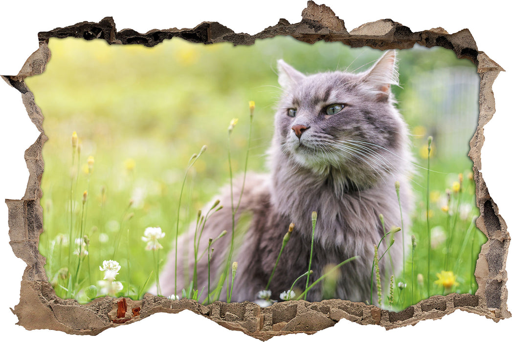 Pixxprint Katze in der Wildnis, 3D Wandtattoo