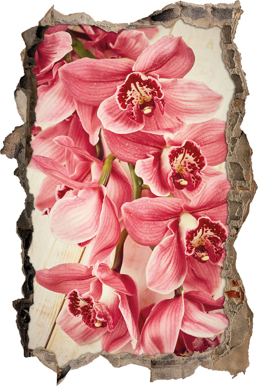 Rosane Orchideenblüten  3D Wandtattoo Wanddurchbruch