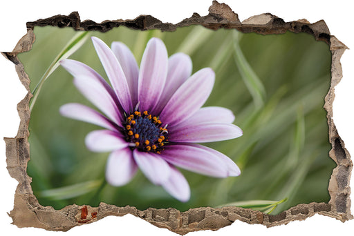 Blume in der Natur  3D Wandtattoo Wanddurchbruch