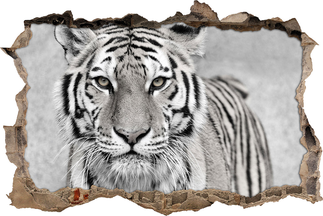 Pixxprint Anmutiger Tiger in, 3D Wandtattoo