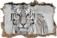 Anmutiger Tiger in 3D Wandtattoo Wanddurchbruch