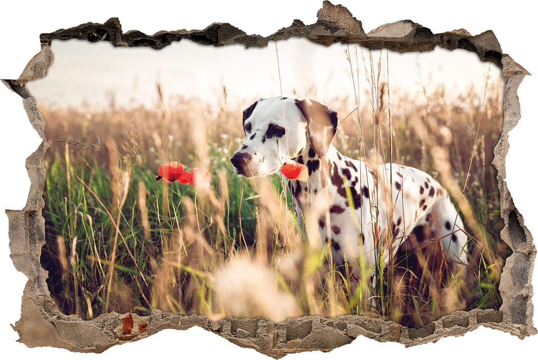 Pixxprint Neugieriger Hund im Feld, 3D Wandtattoo