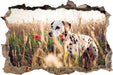 Neugieriger Hund im Feld  3D Wandtattoo Wanddurchbruch