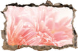 Gerbera Blume  3D Wandtattoo Wanddurchbruch
