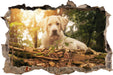 Hund im Wald bei Sonneuntergang  3D Wandtattoo Wanddurchbruch