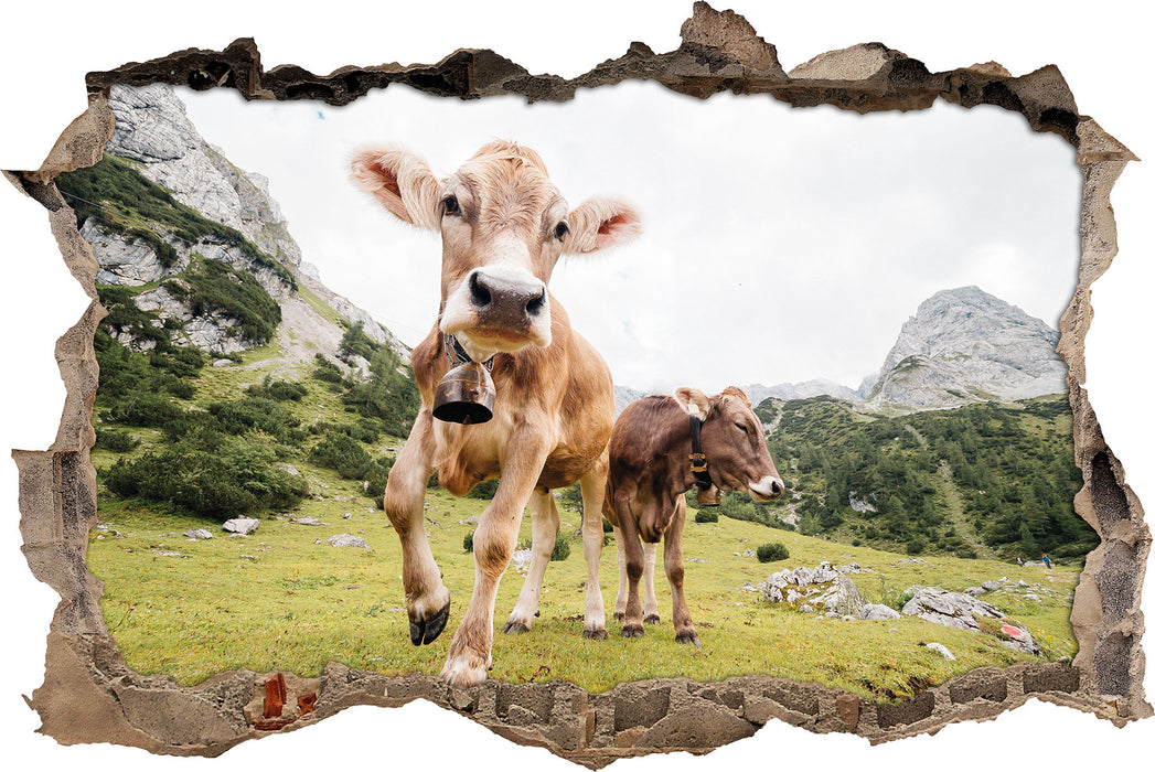 Pixxprint Almkuh auf der Weide, 3D Wandtattoo