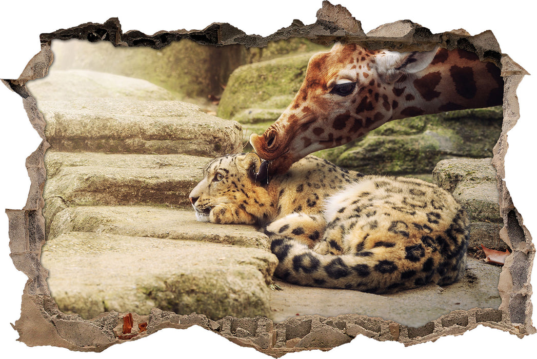 Pixxprint Leopard und Giraffe, 3D Wandtattoo