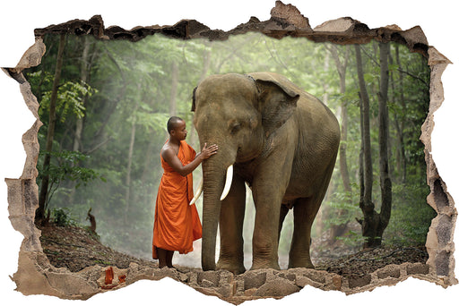 wunderschöner Elefant mit Mönch  3D Wandtattoo Wanddurchbruch