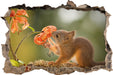 Eichhörnchen riecht an einer Blume 3D Wandtattoo Wanddurchbruch