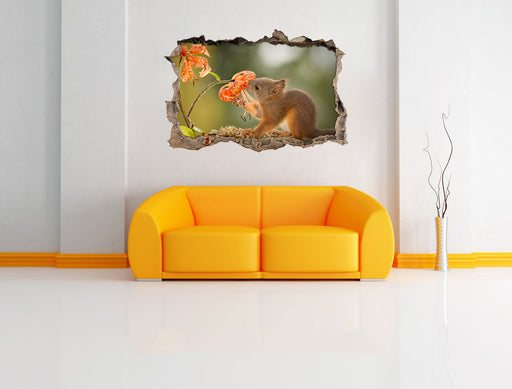 Eichhörnchen riecht an einer Blume 3D Wandtattoo Wanddurchbruch Wand